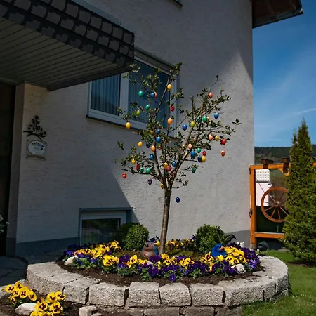 Haus Zur Laterne Apartment