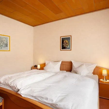 Haus Zur Laterne Apartamento Willingen (Upland)